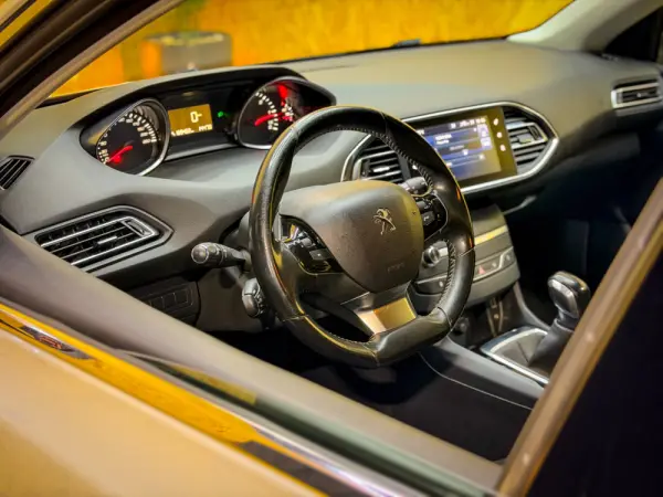 Peugeot 308 1.6 BlueHDi Active 23