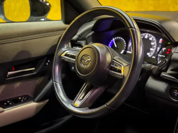 Mazda MX-30 e-SKYACTIV Exclusve-Line 19