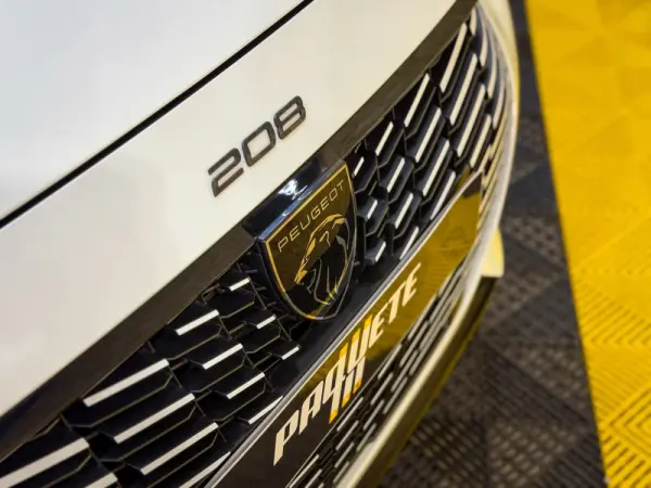 Peugeot e-208 50 kWh SE Style 13