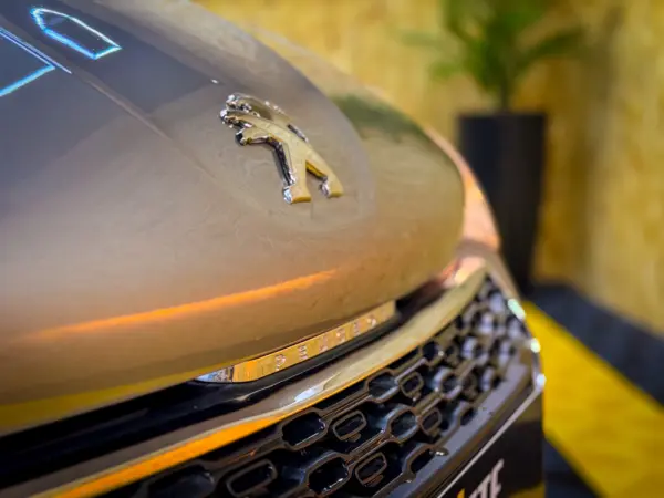 Peugeot 208 1.6 e-HDi SE Style 6