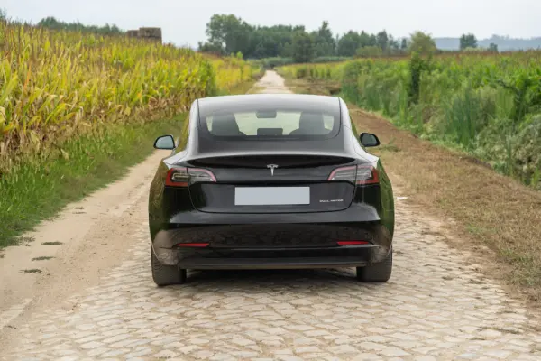 Tesla Model 3 Long Range Tração Integral Premium 9