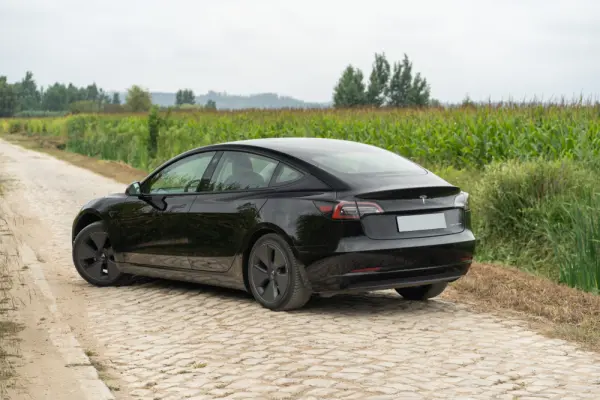 Tesla Model 3 Long Range Tração Integral Premium 5