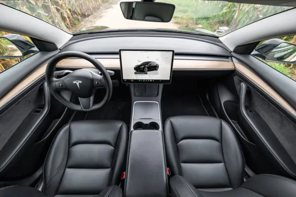Tesla Model 3 Long Range Tração Integral Premium 34