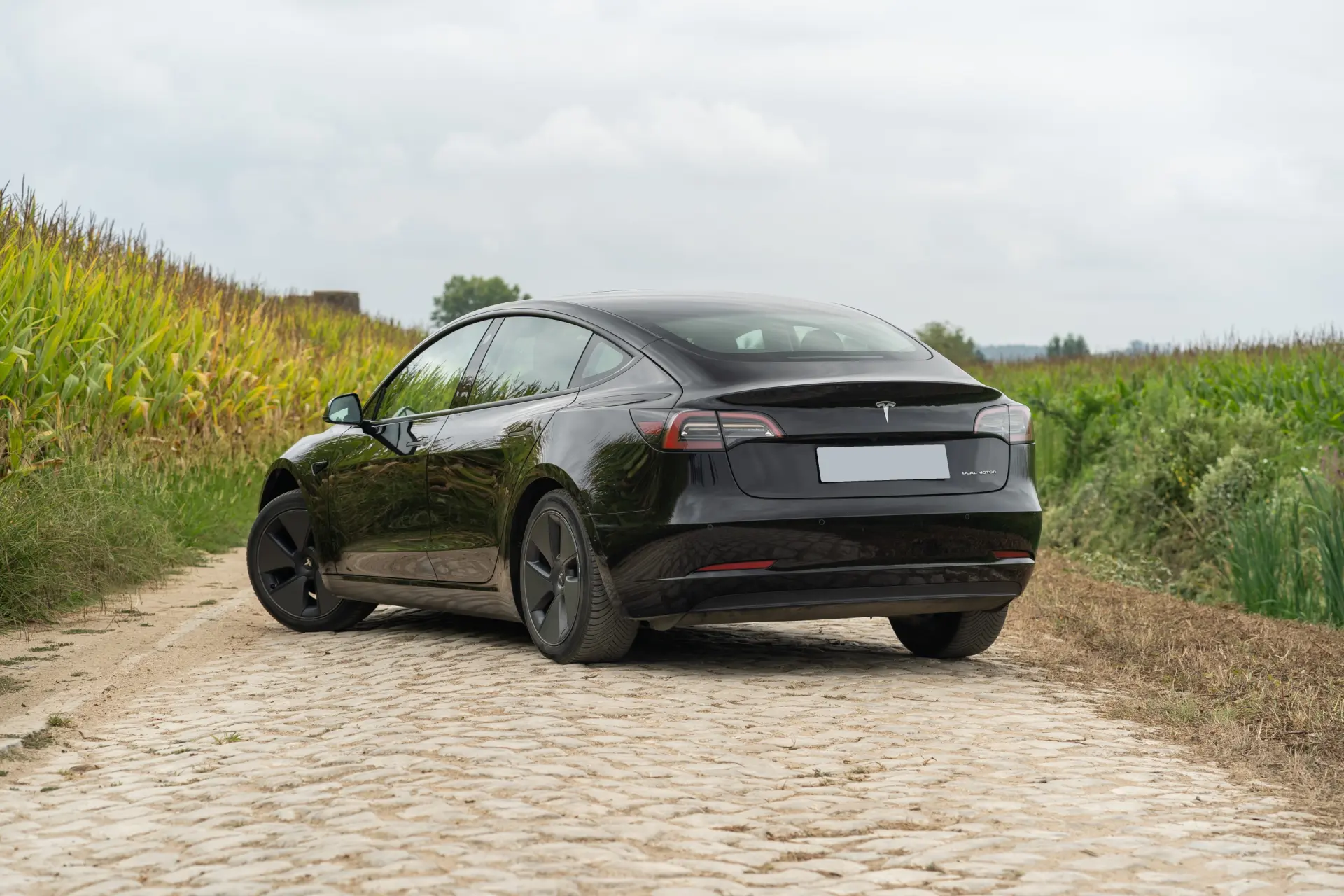 Tesla Model 3 Long Range Tração Integral Premium 4