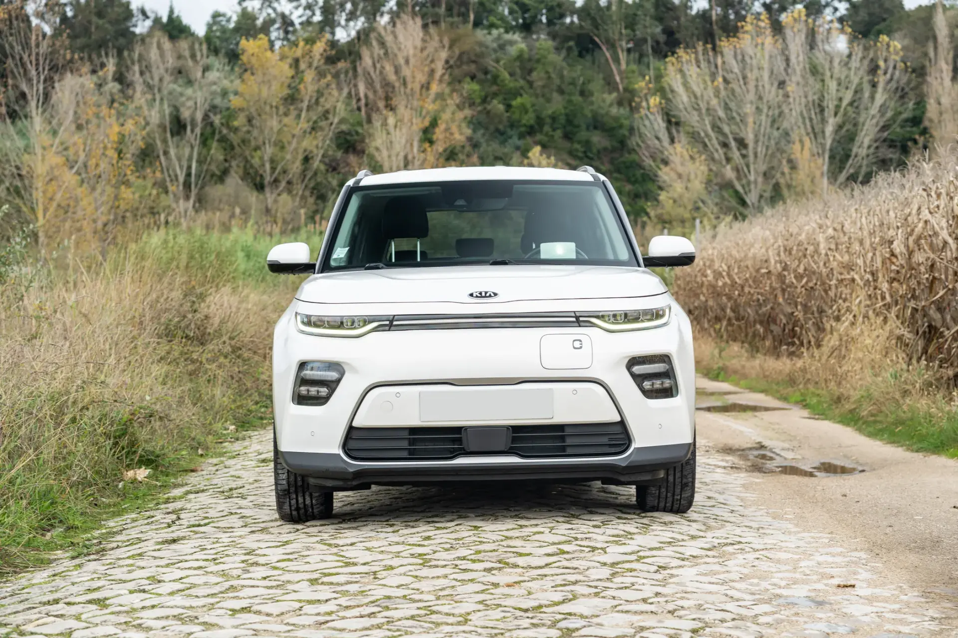 Kia e-Soul 64kWh 12