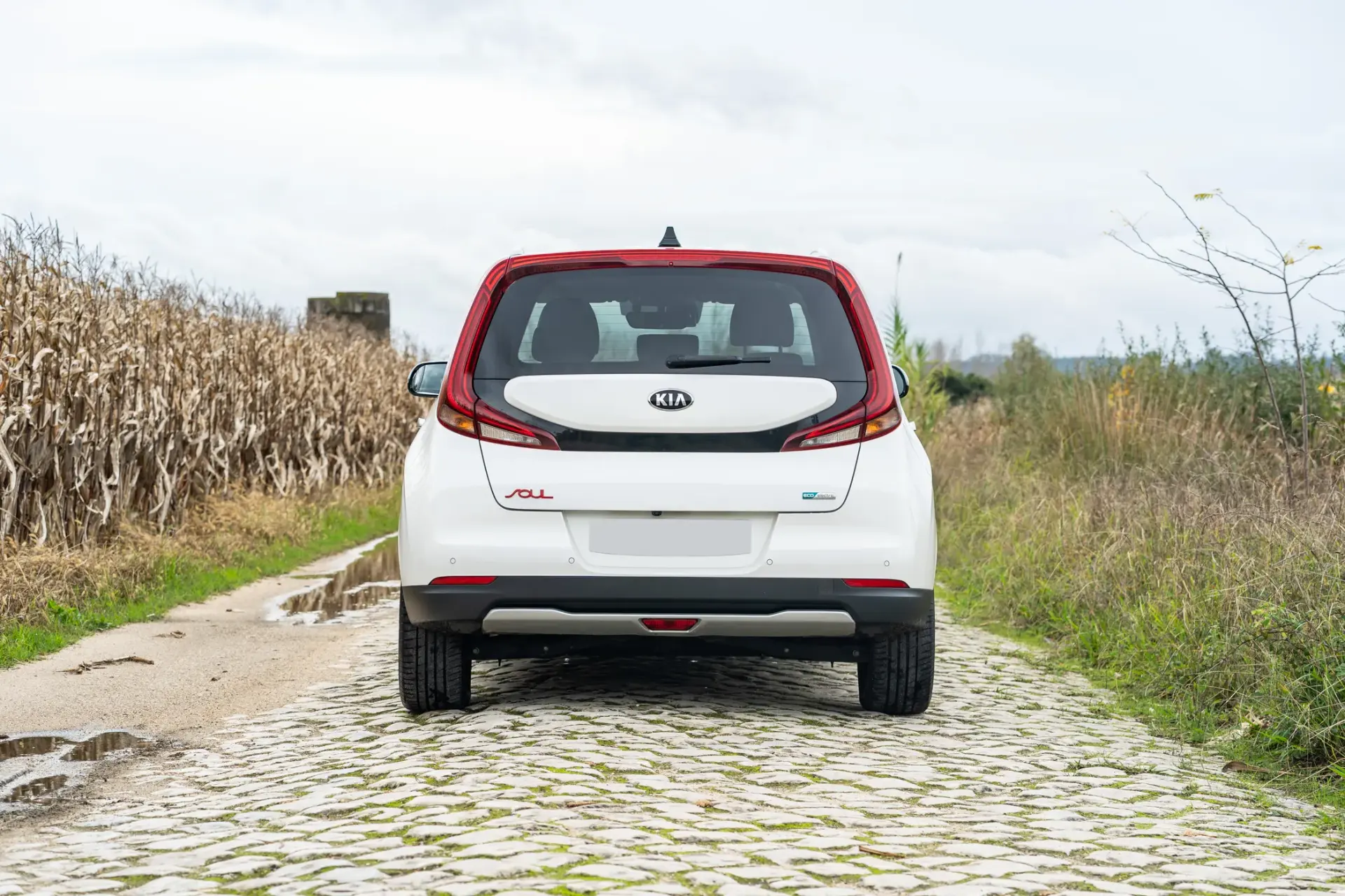Kia e-Soul 64kWh 14