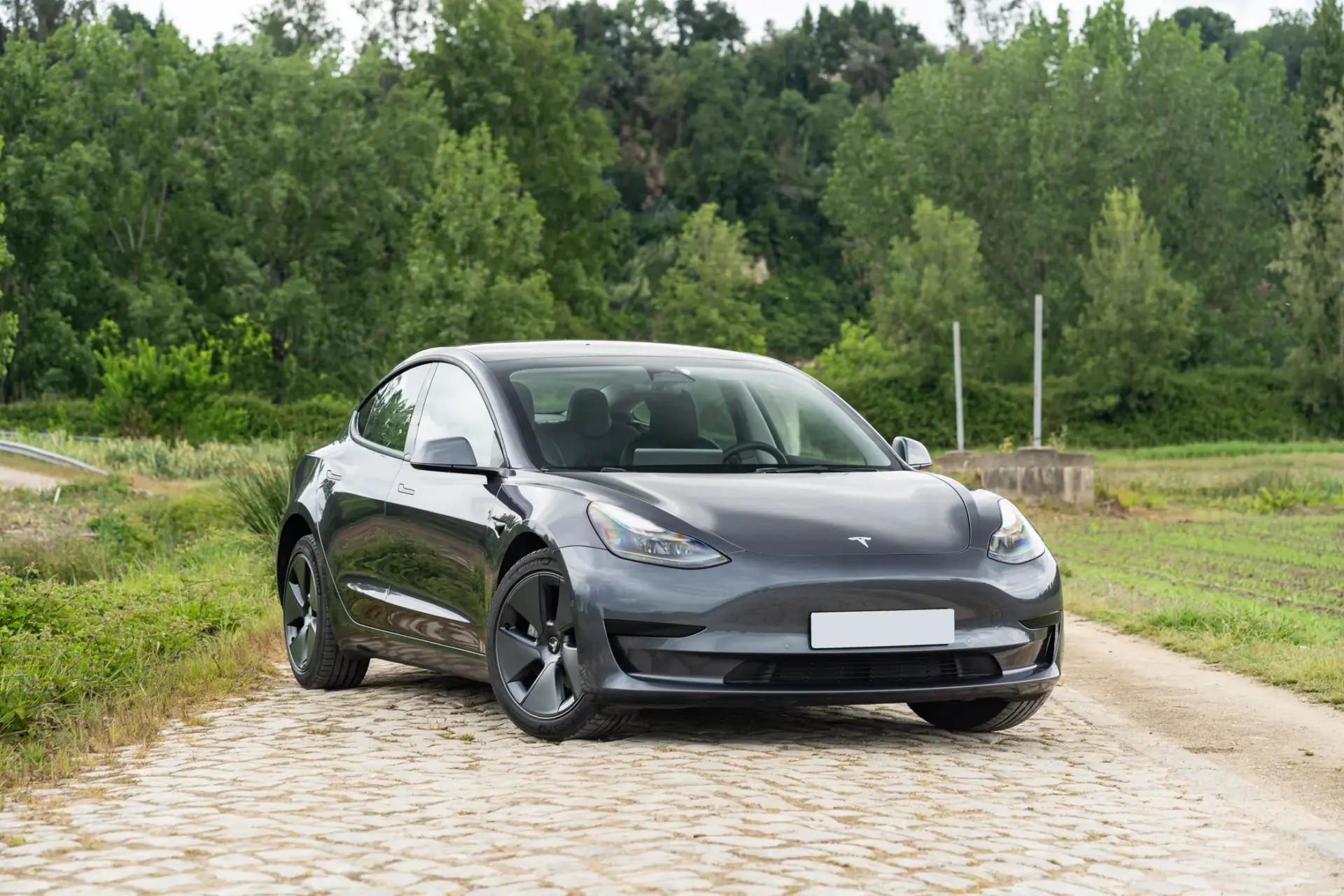 Tesla Model 3 Standard Range Plus RWD 2