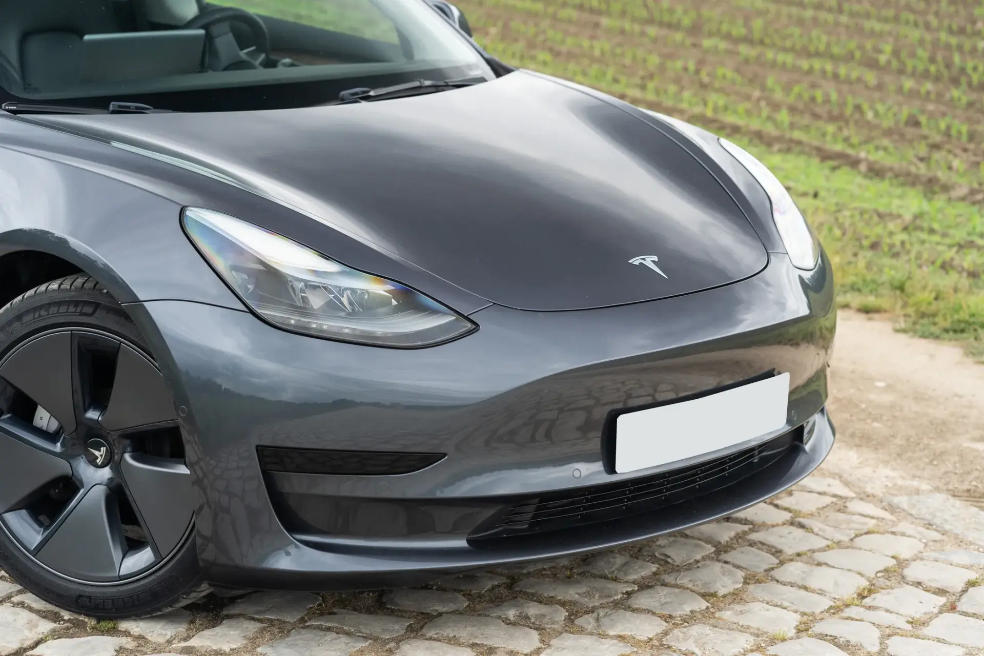 Tesla Model 3 Standard Range Plus RWD 3