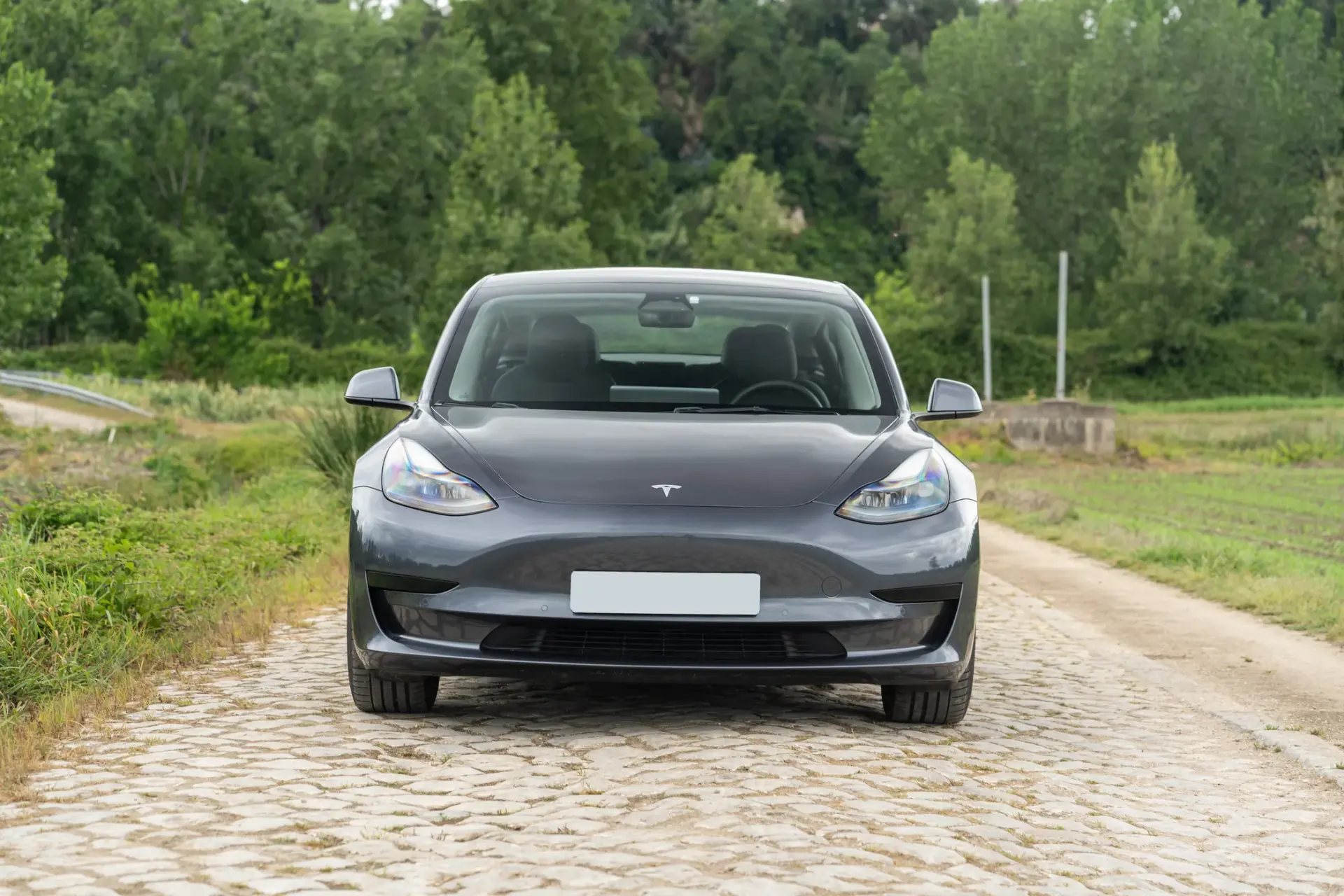Tesla Model 3 Standard Range Plus RWD 12