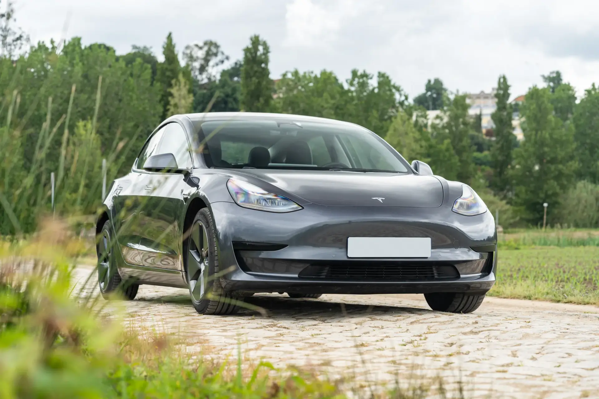 Tesla Model 3 Standard Range Plus RWD 13