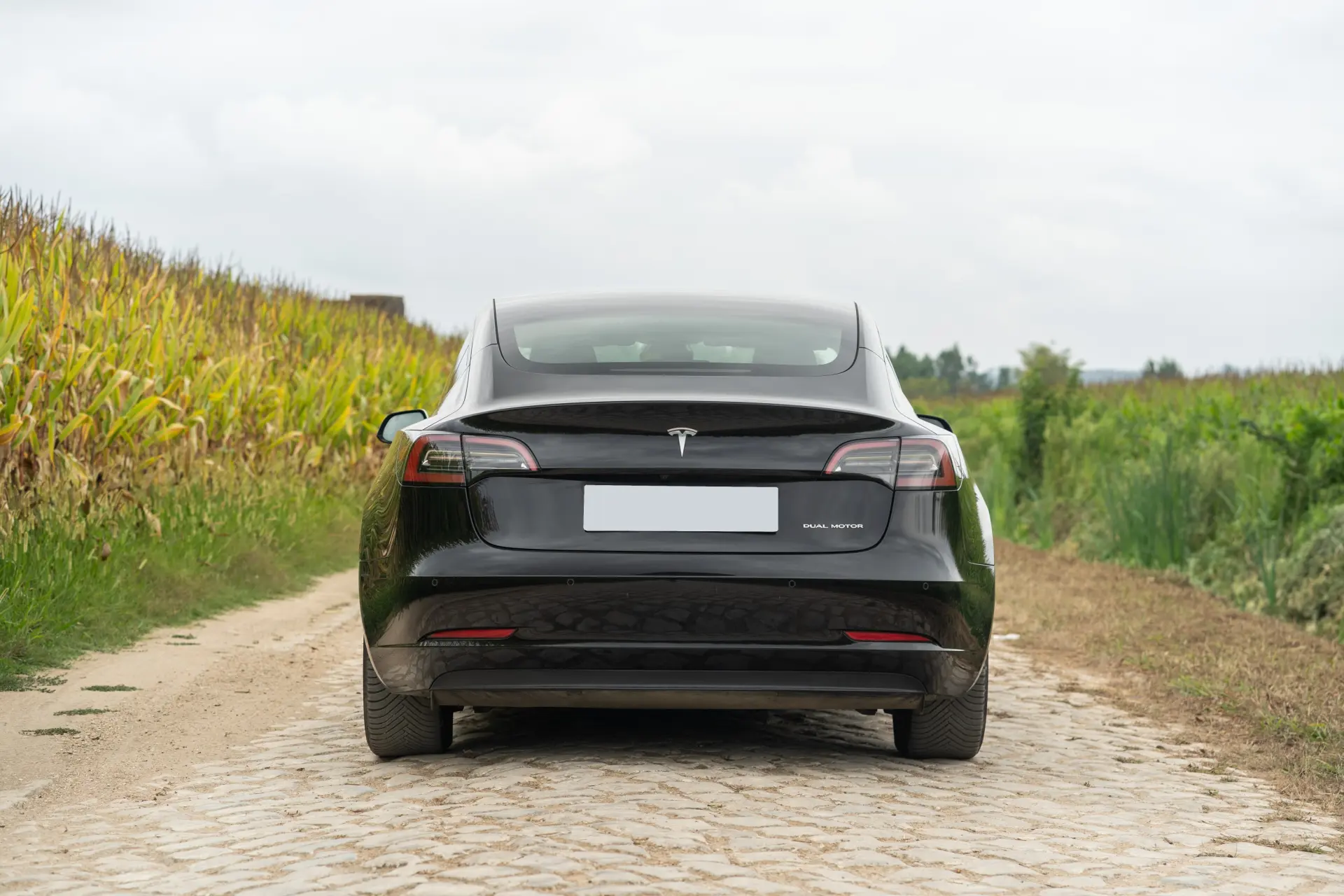 Tesla Model 3 Long Range Tração Integral Premium 10