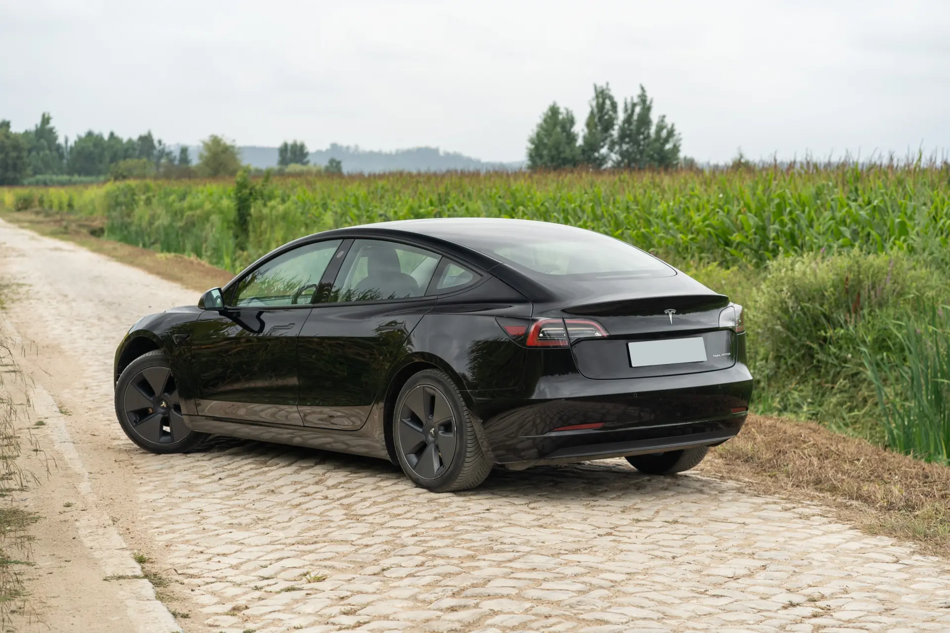 Tesla Model 3 Long Range Tração Integral Premium 5