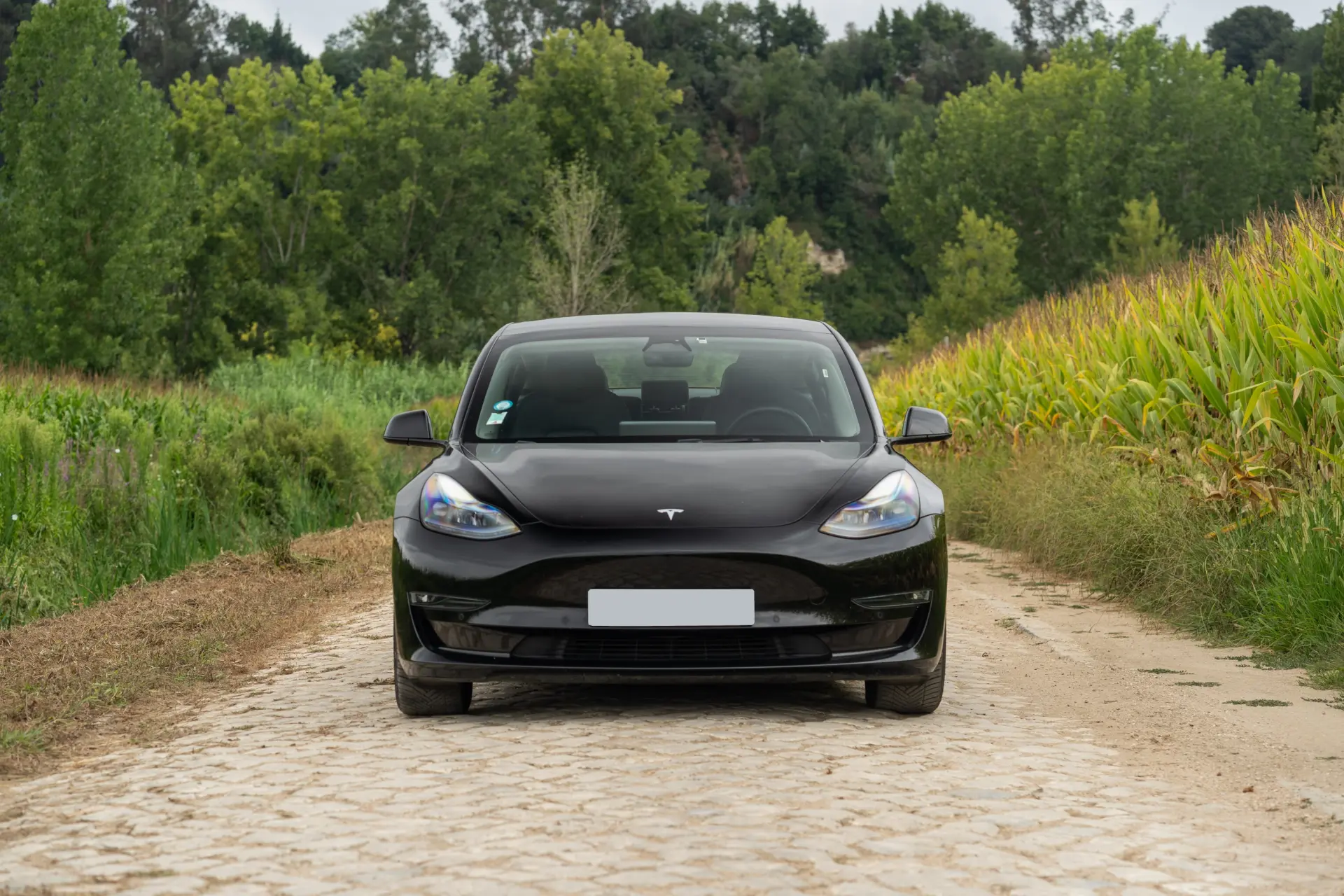 Tesla Model 3 Long Range Tração Integral Premium 6
