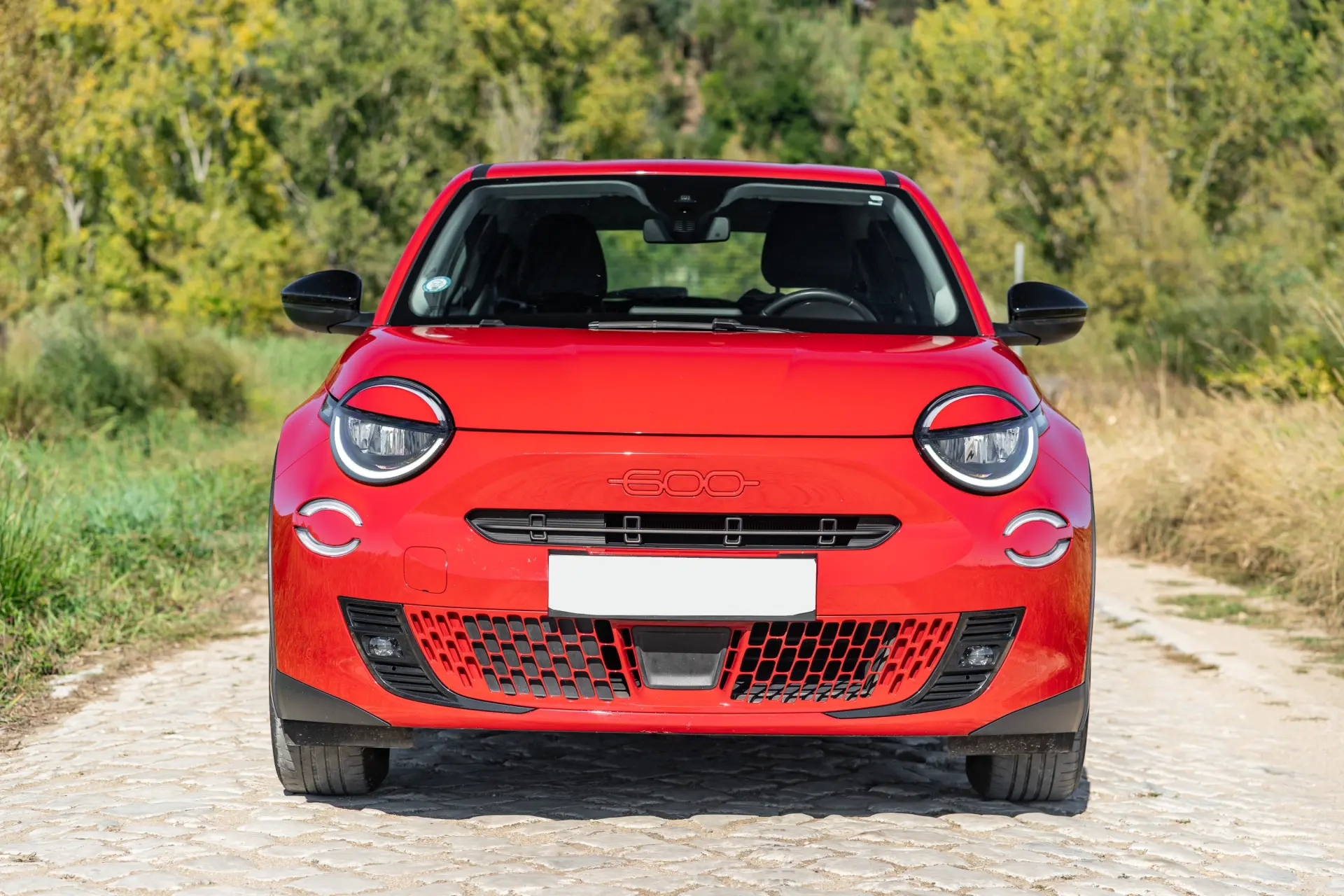 Fiat 600e 54 kWh (RED) 12