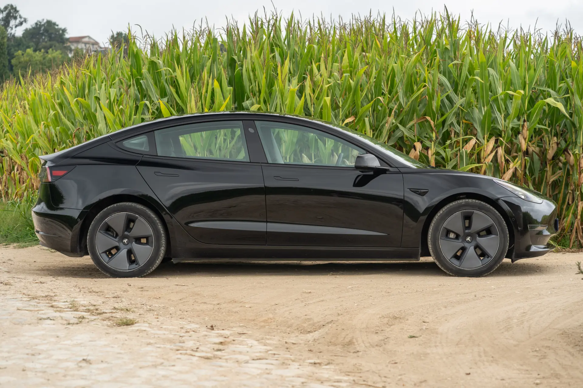 Tesla Model 3 Long Range Tração Integral Premium 13