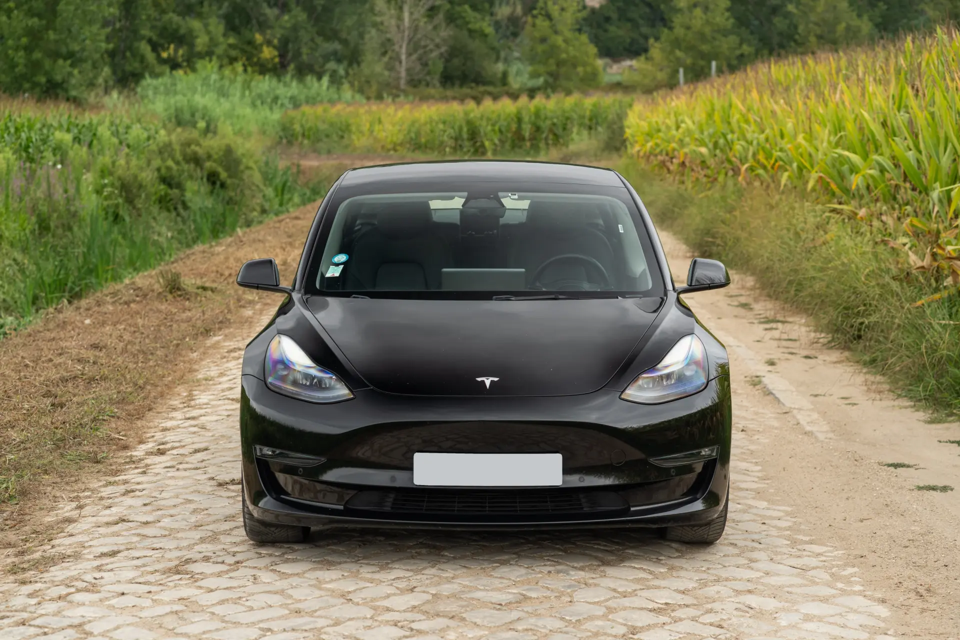 Tesla Model 3 Long Range Tração Integral Premium 7