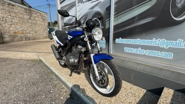 Suzuki GS GS 500 F 10