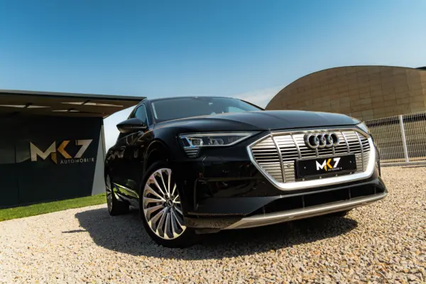 Audi e-tron Sportback 50 quattro advanced 18