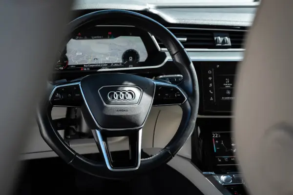 Audi e-tron 50 quattro advanced 12