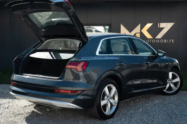 Audi e-tron 50 quattro advanced 7