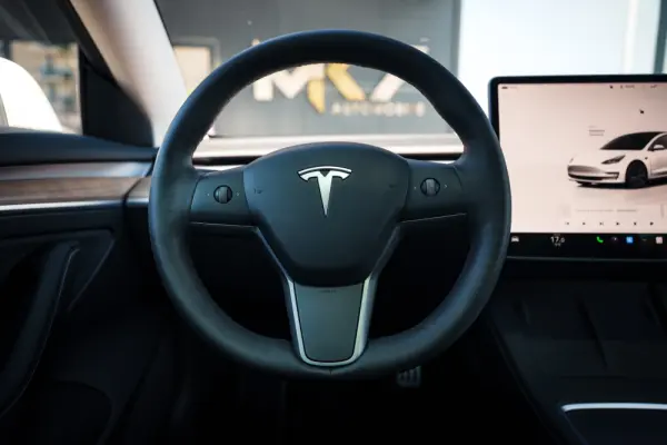 Tesla Model 3 Performance Dual Motor AWD 16