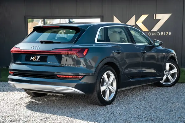 Audi e-tron 50 quattro advanced 6