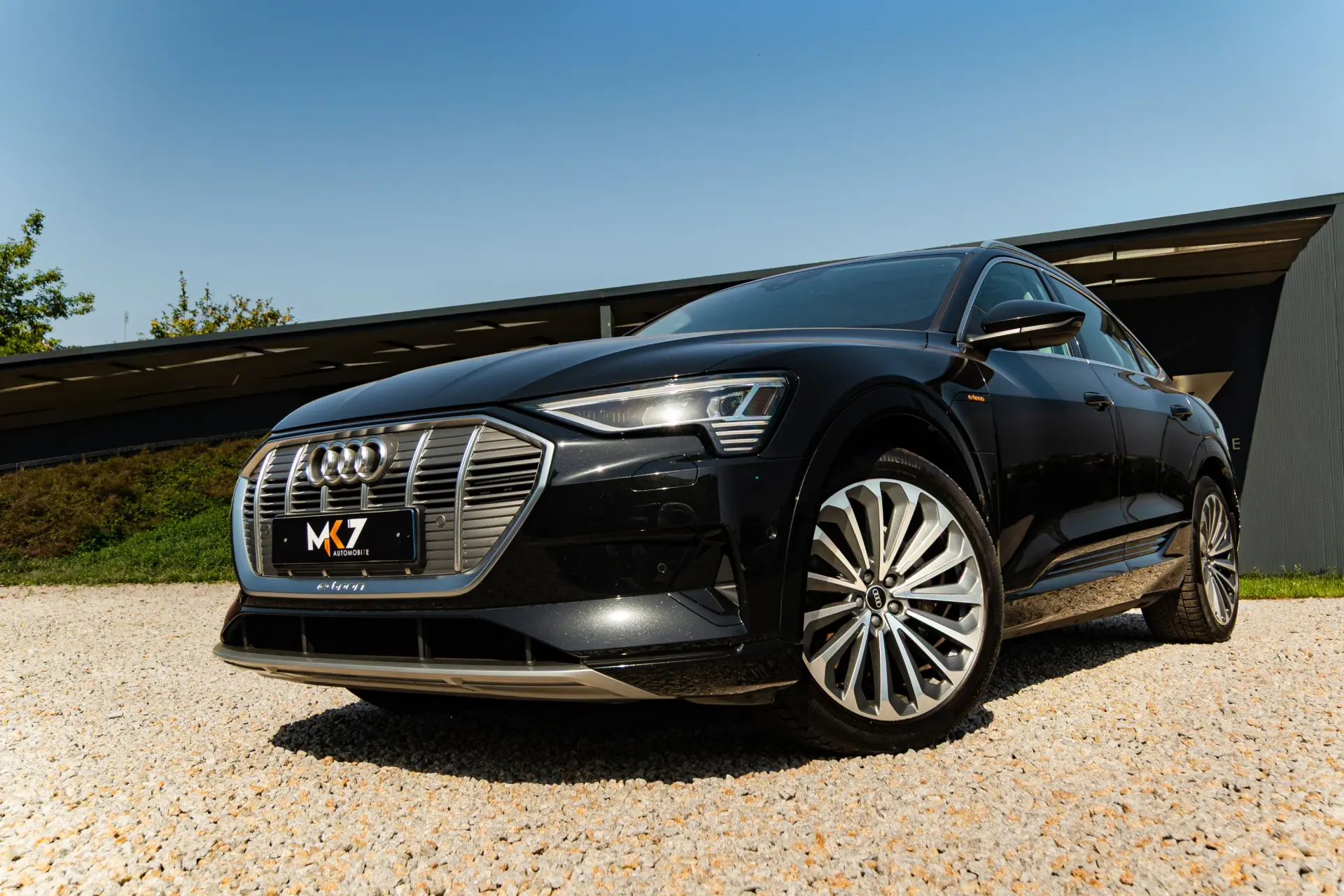 Audi e-tron Sportback 50 quattro advanced 23
