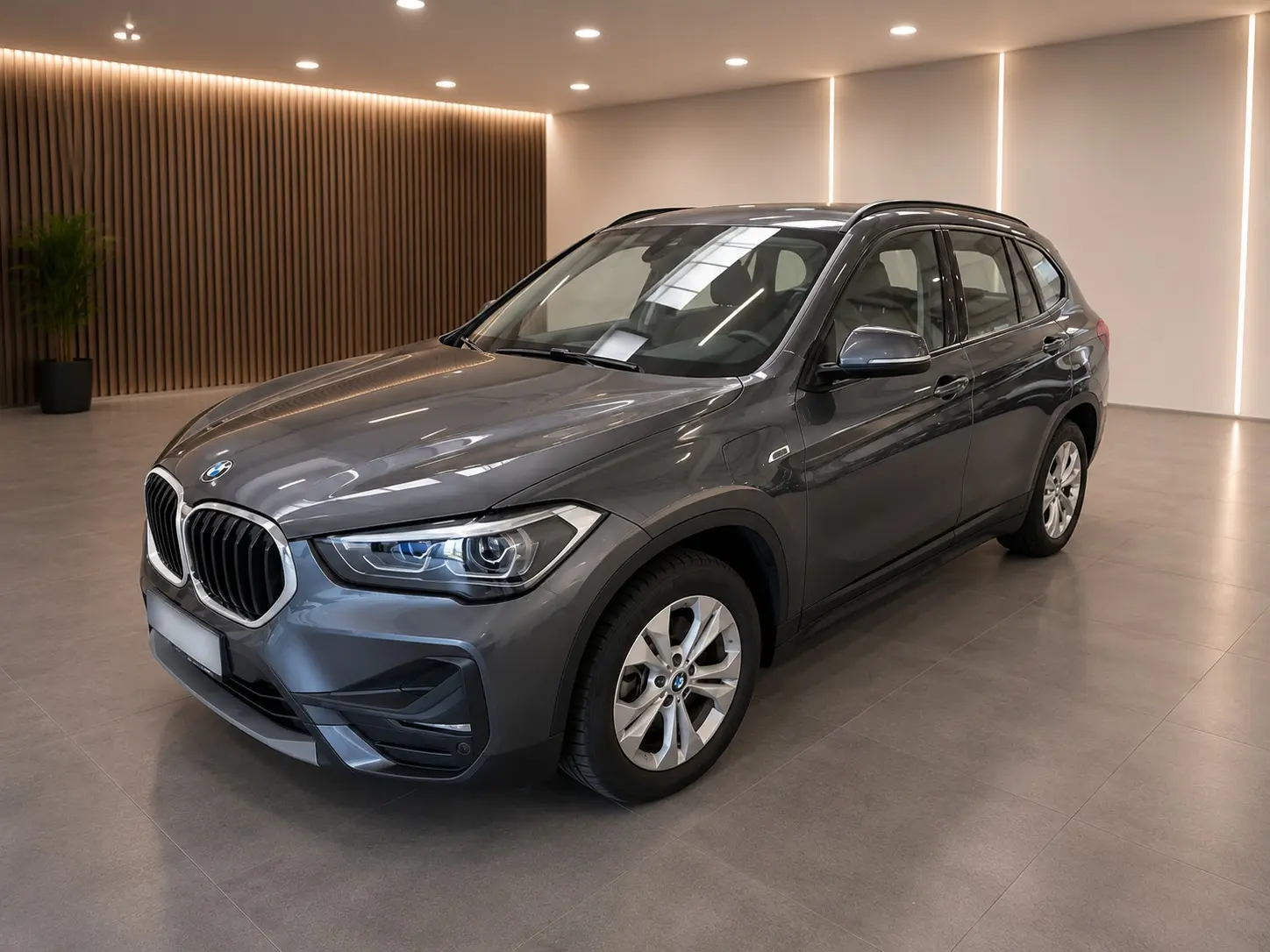 BMW X1 25 e xDrive Line Sport 1