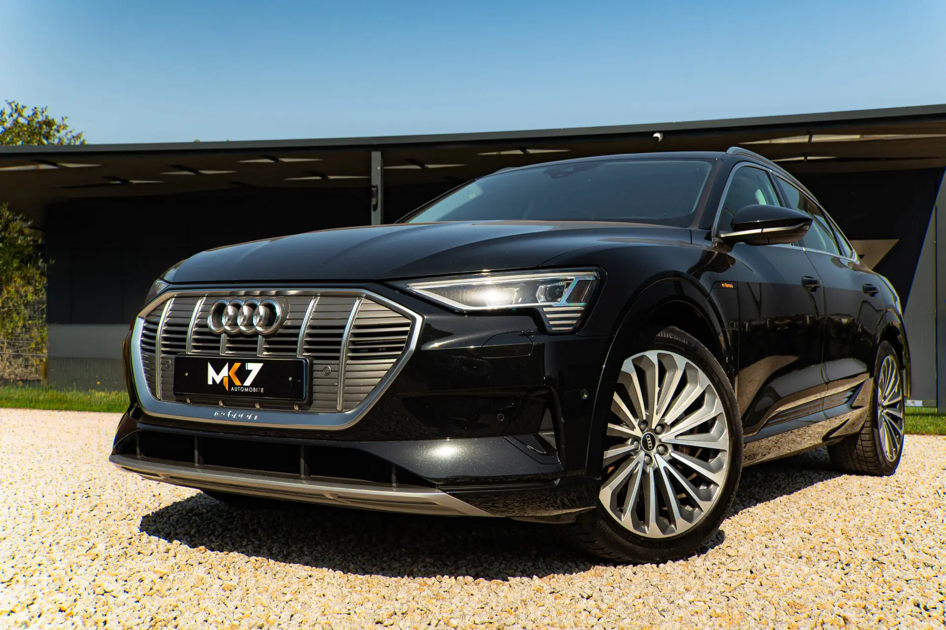 Audi e-tron Sportback 50 quattro advanced 38