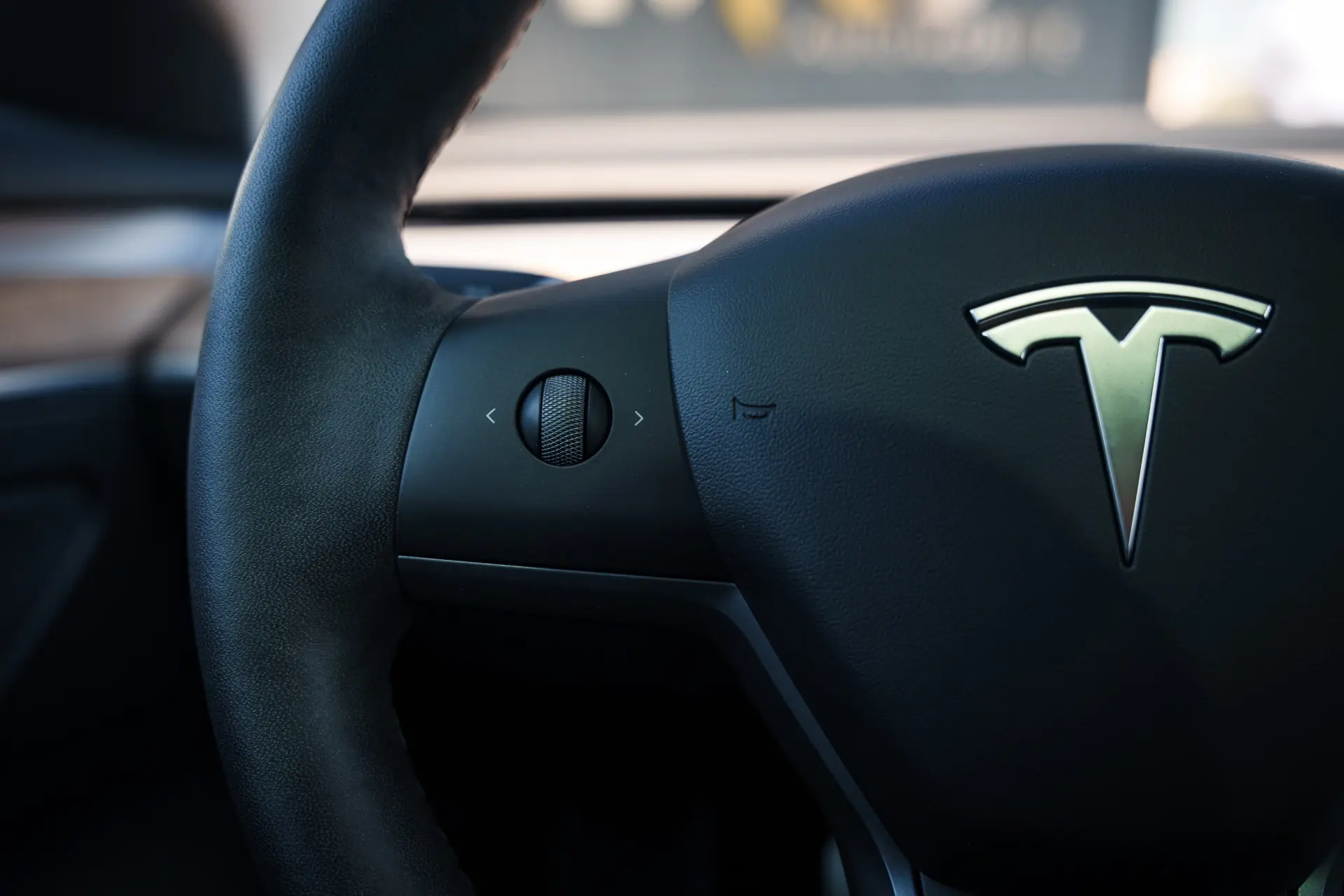 Tesla Model 3 Performance Dual Motor AWD 14