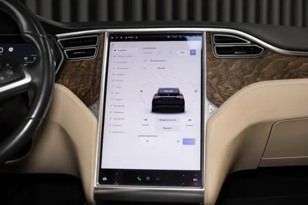 Tesla Model X 90D 18