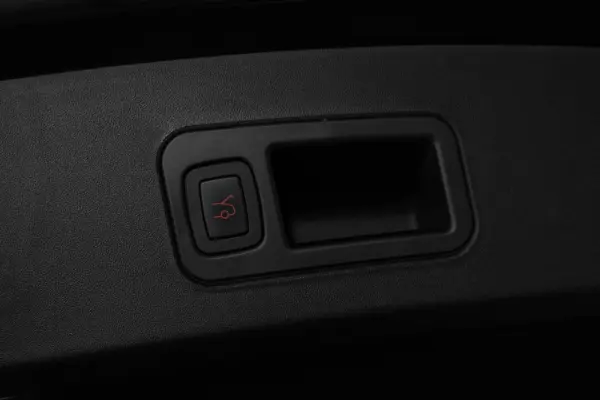 Tesla Model S 100D 36