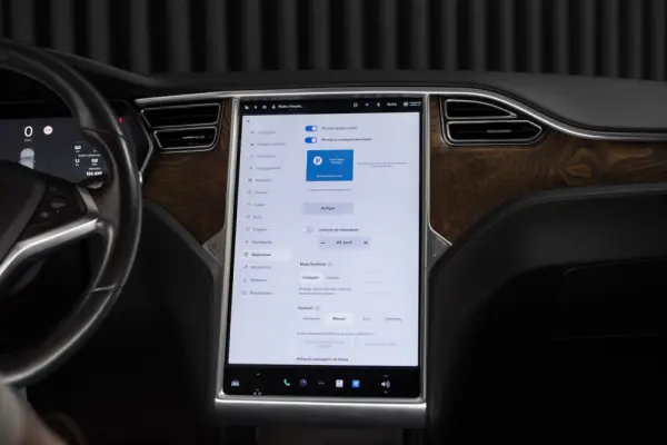 Tesla Model S 100D 22