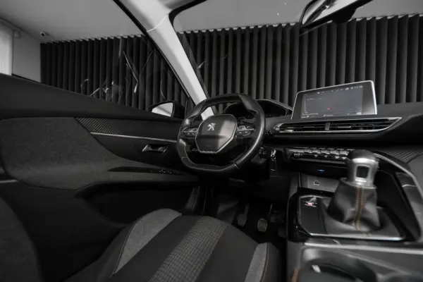 Peugeot 3008 1.6 BlueHDi Active 13
