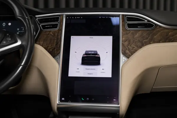 Tesla Model X 90D 17