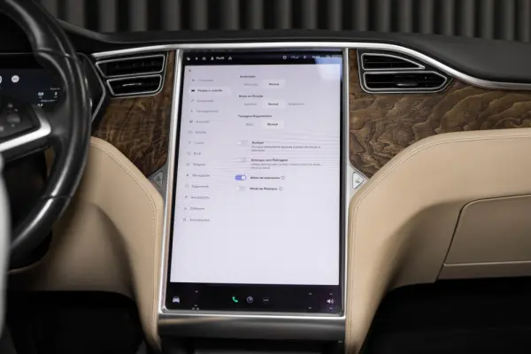Tesla Model X 90D 19