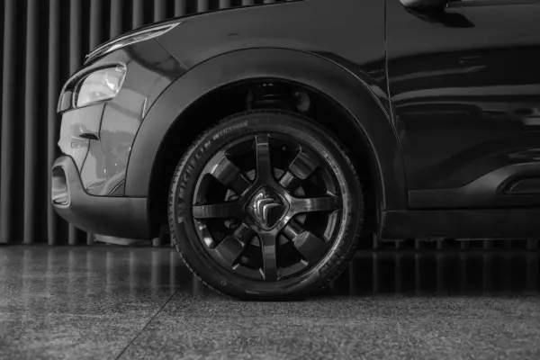 Citroen C4 Cactus 1.5 BlueHDi Shine 5
