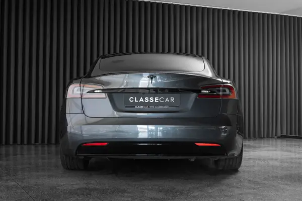 Tesla Model S 100D 7