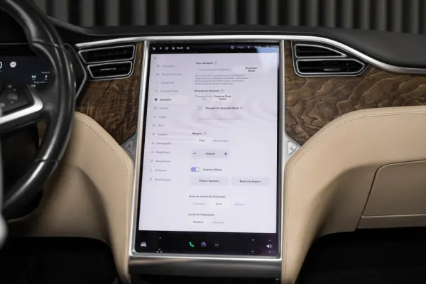 Tesla Model X 90D 22