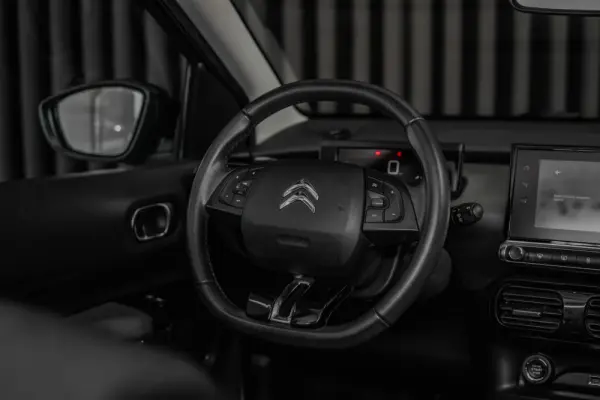 Citroen C4 Cactus 1.5 BlueHDi Shine 13