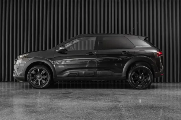 Citroen C4 Cactus 1.5 BlueHDi Shine 2