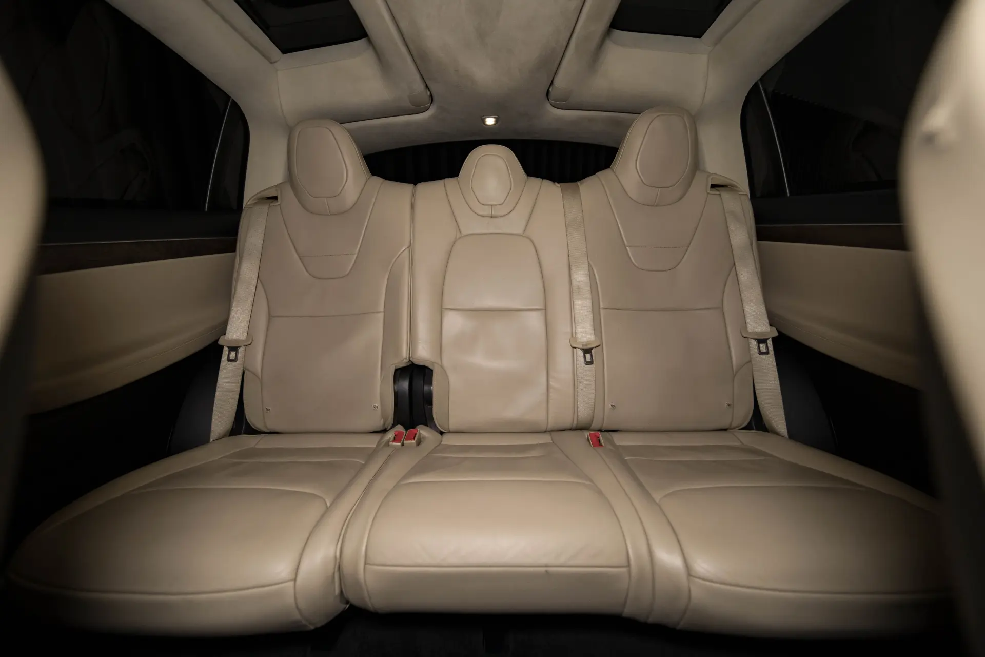 Tesla Model X 90D 44