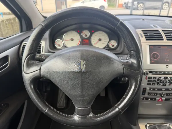 Peugeot 407 SW 1.6 HDi Executive 21