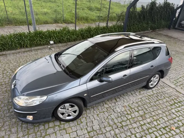 Peugeot 407 SW 1.6 HDi Executive 10