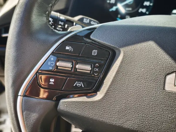 Kia Niro EV 64kWh Tech X 39