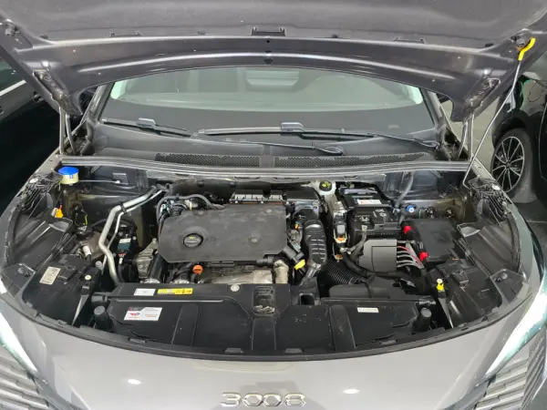 Peugeot 3008 8