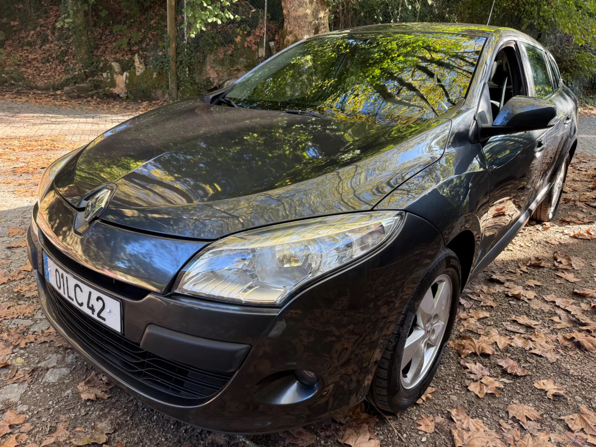 Renault Mégane Outro 3