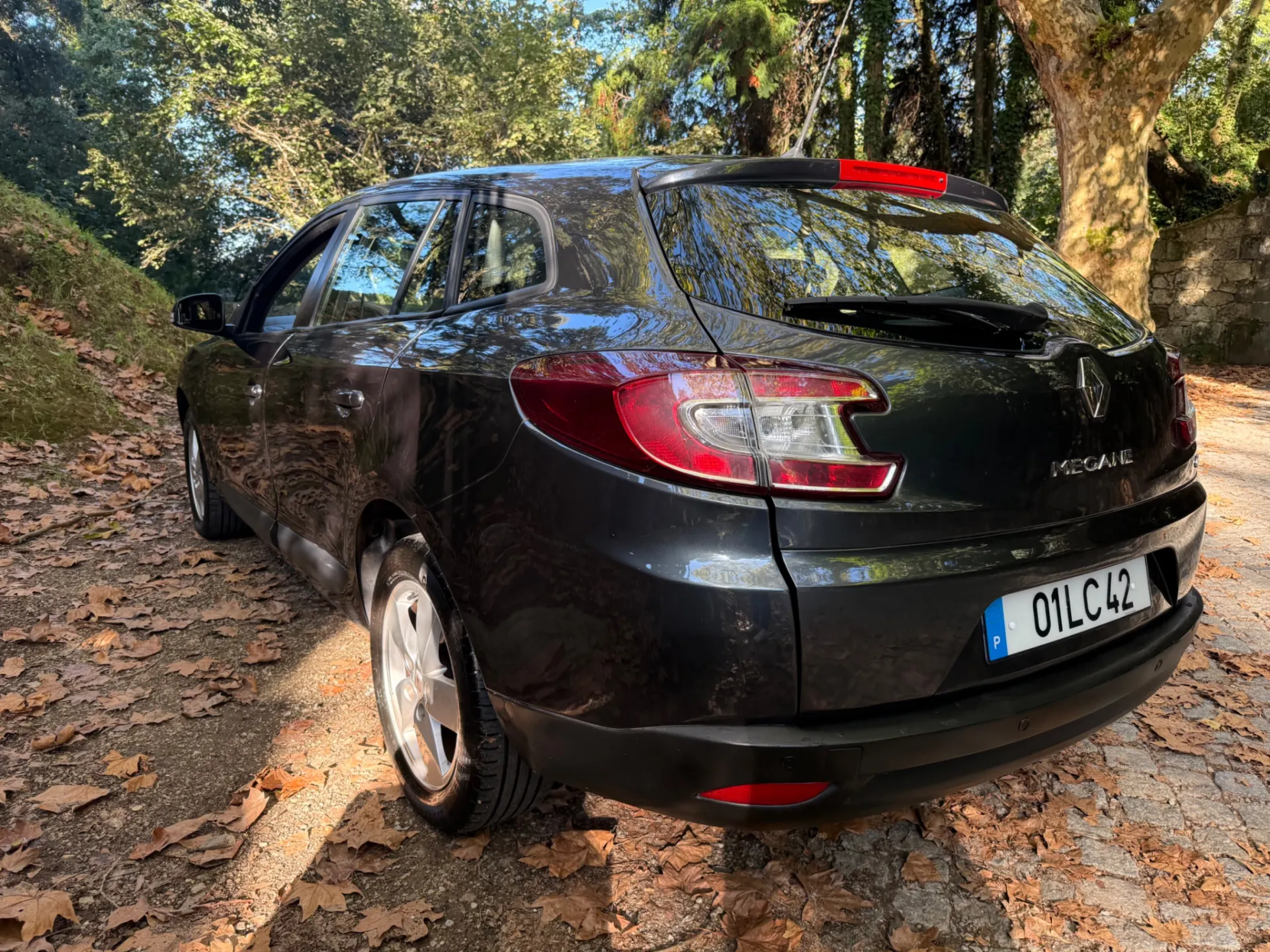 Renault Mégane Outro 5