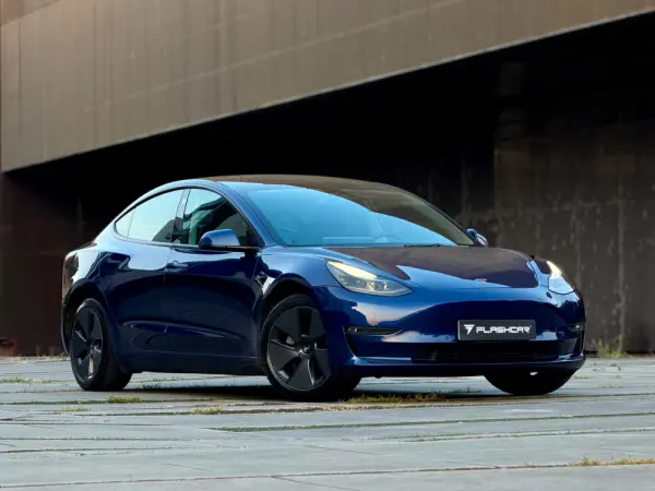 Tesla Model 3 Long Range AWD Dual Motor 46