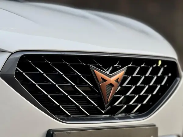 Cupra Formentor 18